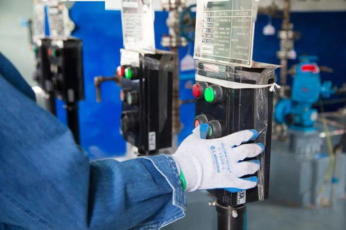 海藻酸尿素試驗性生產啟動，信息咨詢服務同步上線